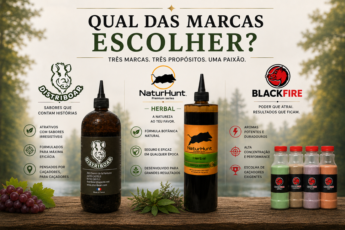 Como escolher o melhor atrativo para javali